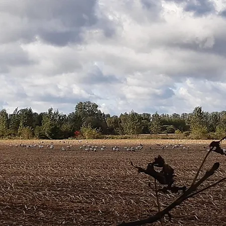 Apartman Gartenblick