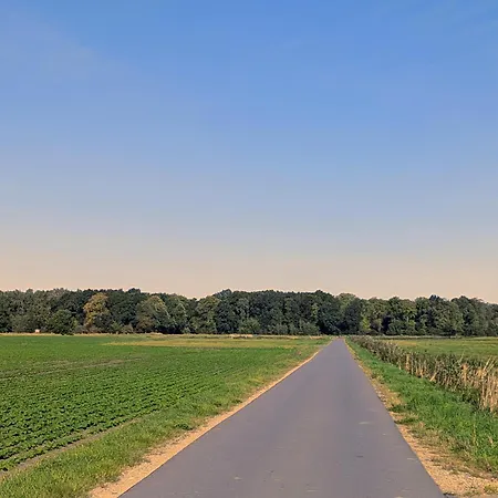 Gartenblick *