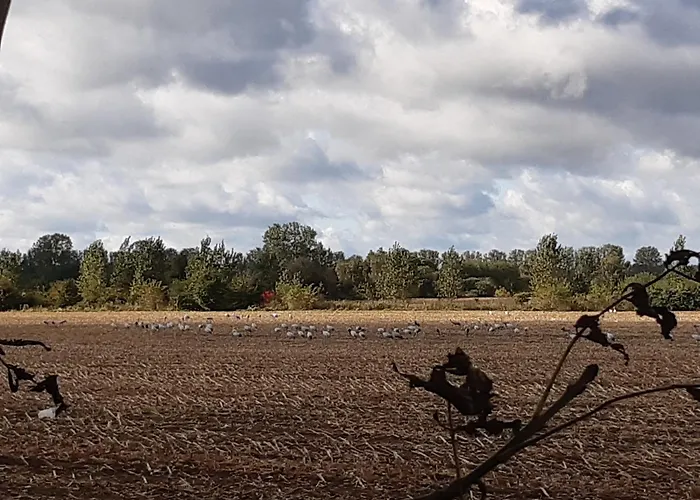 דירה Gartenblick